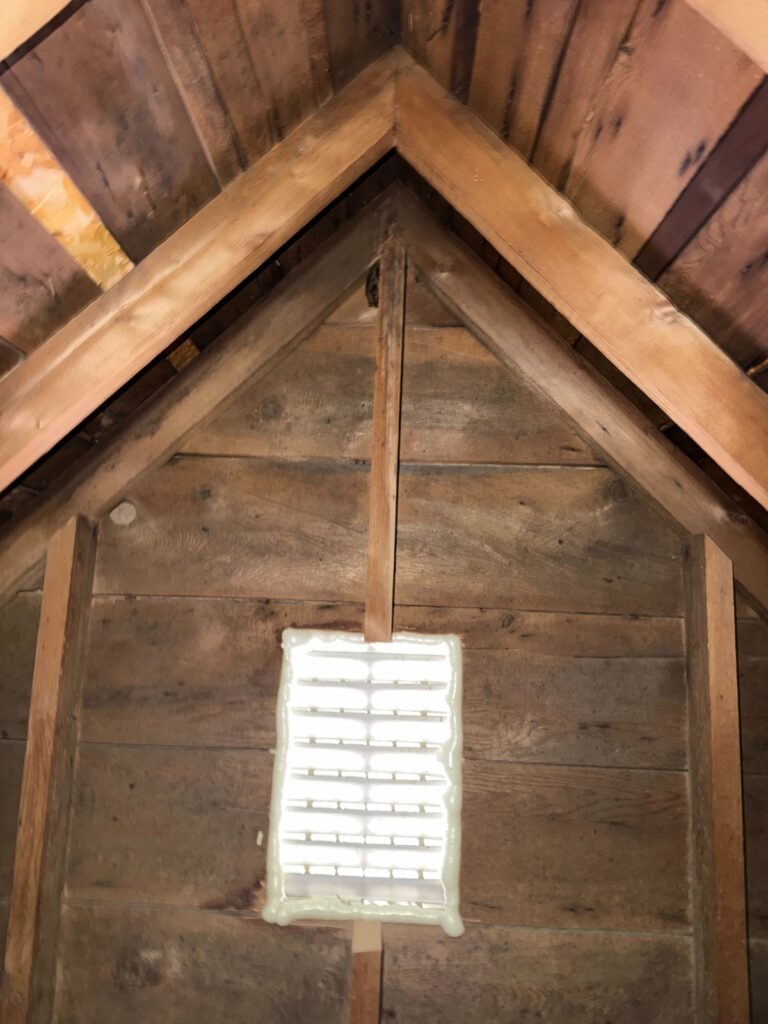 Bat Control Clayton